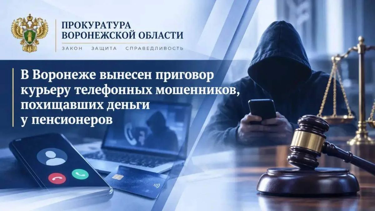 Житель Каменского района осужден за похищение денежных средств у граждан пожилого возраста
