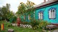 Подсолнечники высотой 4 метра вырастила 86-летняя жительница Острогожска