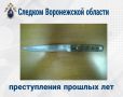 В Воронежской области местный житель предстанет перед судом за убийство 12-летней давности
