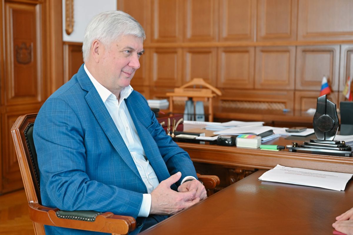 Александр Гусев и Андрей Дьяченко обсудили работу Воронежской городской Думы
