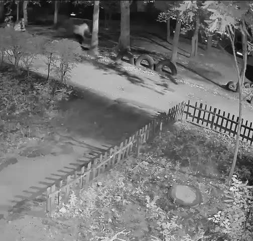 Подростки устроили ночной погром во дворах на улице Артамонова