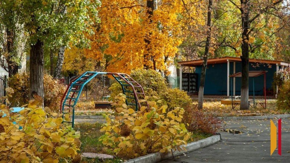 На новой рабочей неделе в Воронеж придет бабье лето