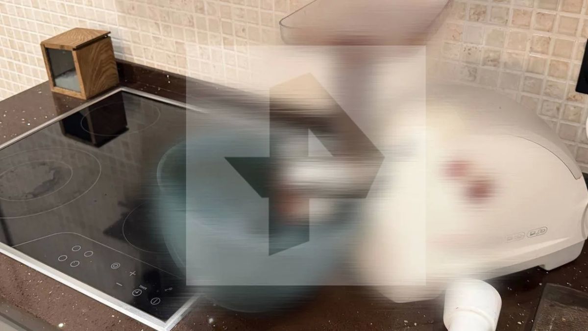 Теймураз Гогиашвили расправился с Еленой Церетели и ее дочерью, а затем прокрутил останки сожительницы через мясорубку — данные РЕН ТВ
