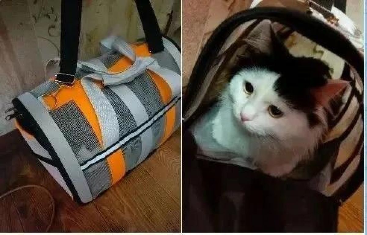 Кота в переноске забыли в воронежском автобусе №10