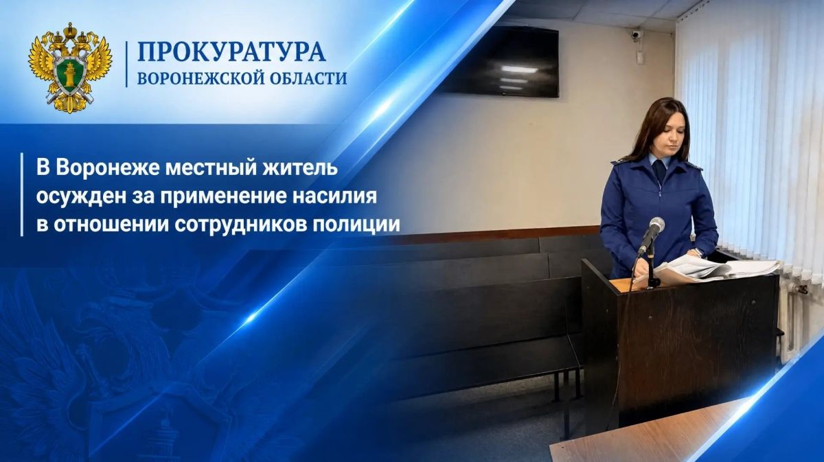 В Воронеже местный житель осужден за применение насилия в отношении сотрудников полиции