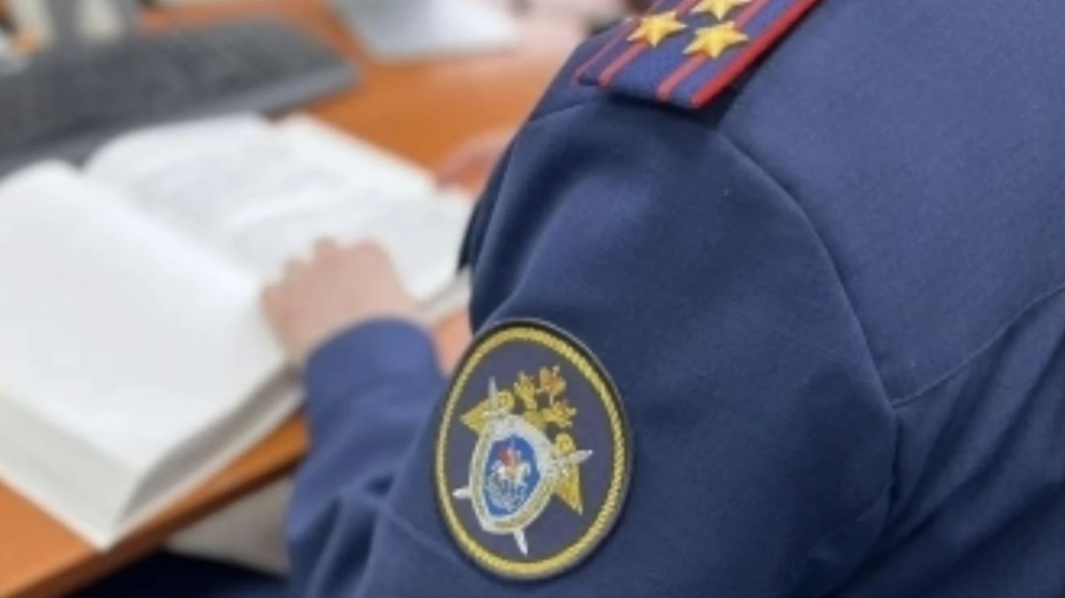 В Воронеже несовершеннолетний подозревается в неправомерном обороте средств платежа
