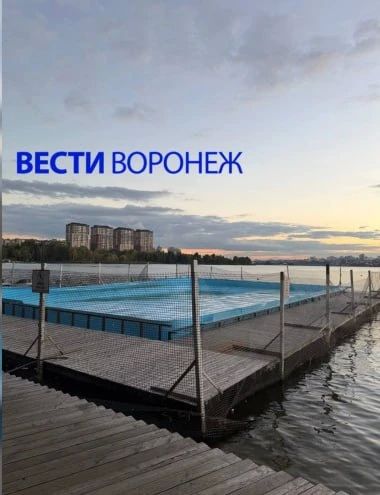Спустя 3 года назвали предварительную дату открытия бассейна в «Дельфине»