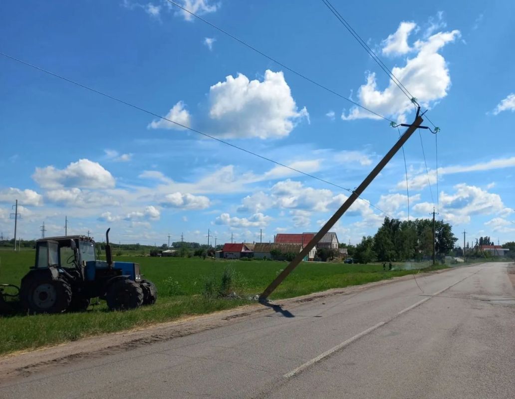 Больше миллиона рублей ущерба: автомобили повредили 43 опоры ЛЭП в Воронежской области с начала 2026 года
