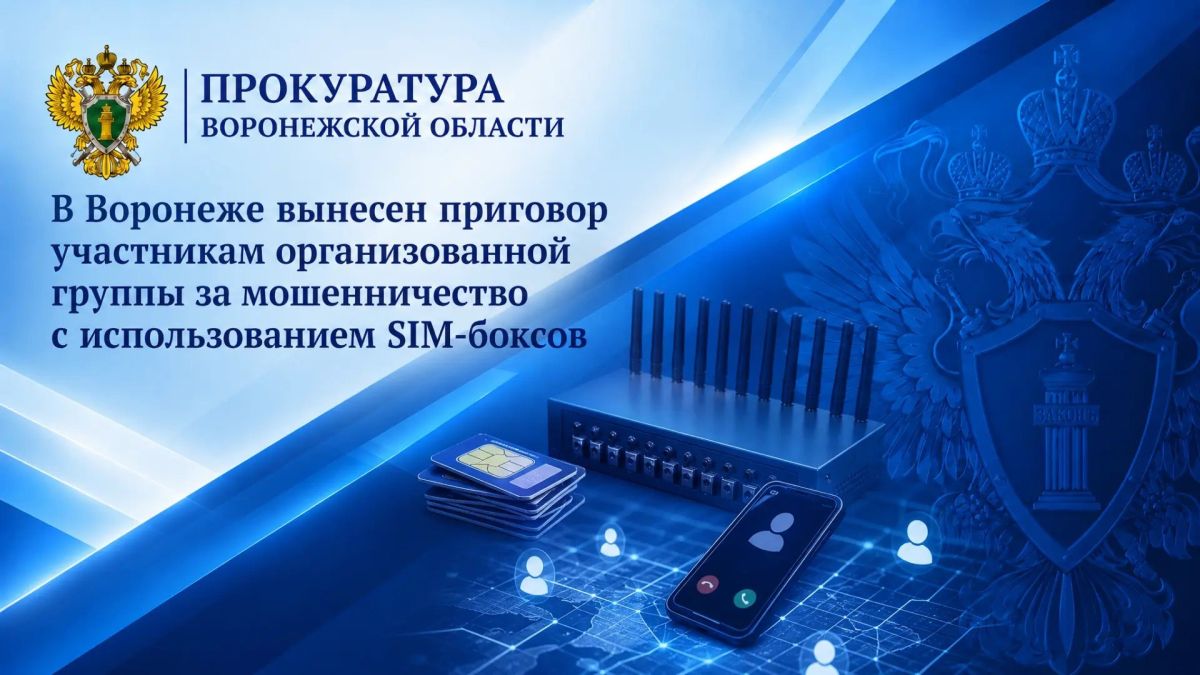 В Воронеже вынесен приговор участникам организованной группы за мошенничество с использованием SIM-боксов