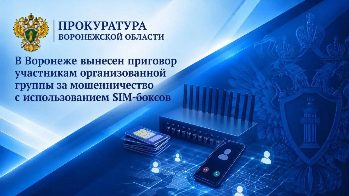 В Воронеже вынесен приговор участникам организованной группы за мошенничество с использованием SIM-боксов