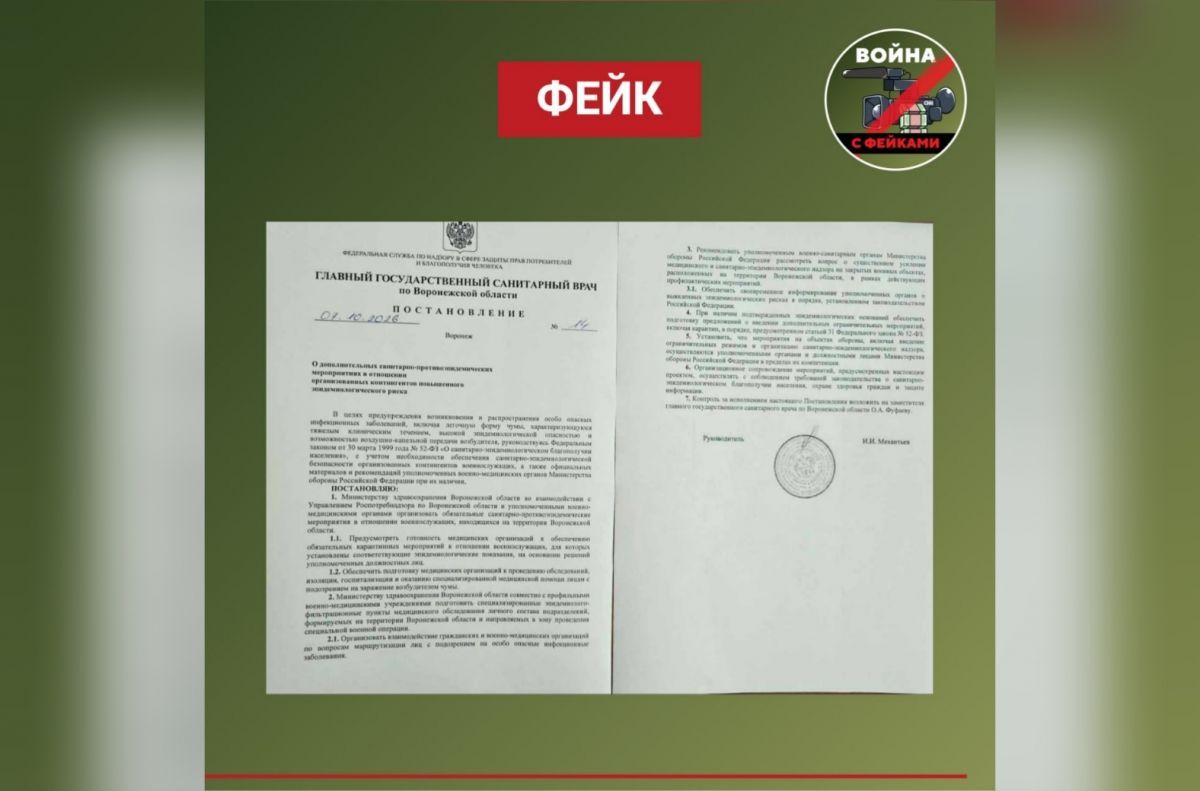 Документ о мероприятиях против легочной формы в Воронежской области чумы оказался фейком