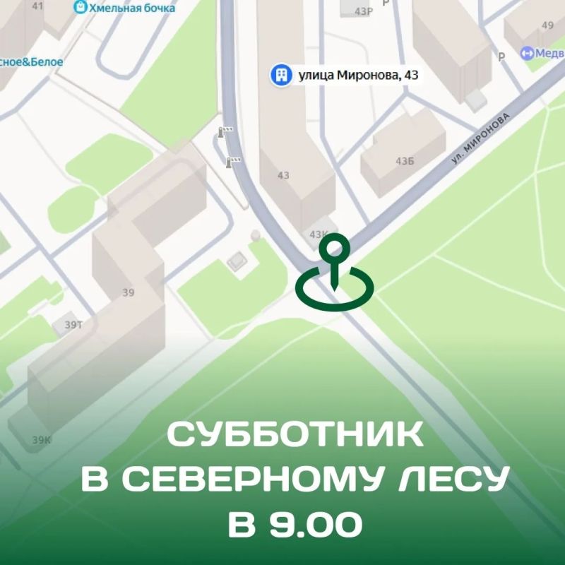 Друзья, 10 октября в Воронеже пройдет общегородской субботник