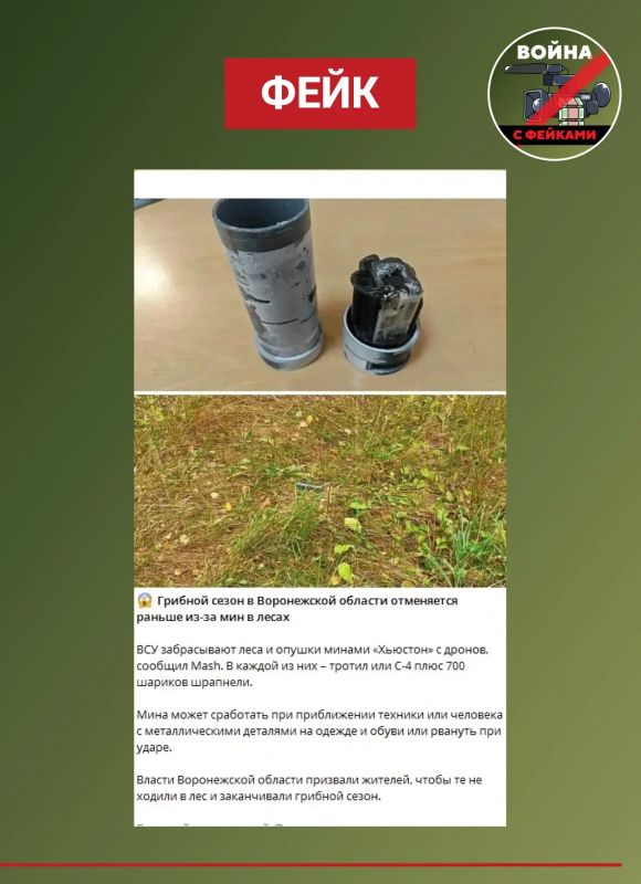 Фейк: Власти воронежской области предупредили грибников о минах в лесу