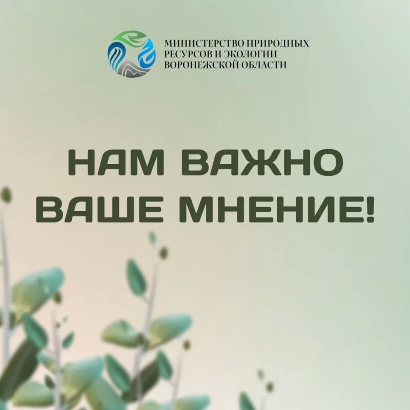 Друзья, мы хотим сделать наше взаимодействие с вами максимально комфортным