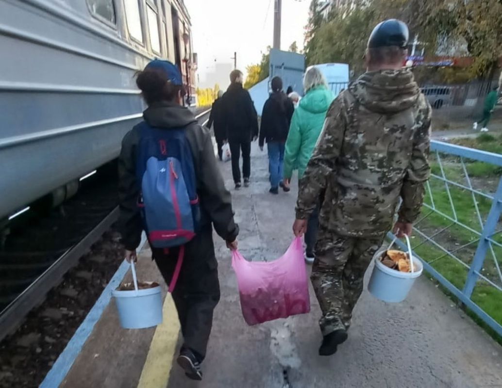 Грибники Воронежской области загружаются по полной