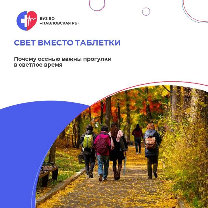 Свет вместо таблетки: почему осенью так важны прогулки в светлое время