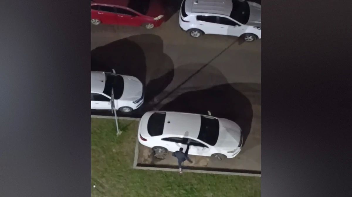 В Воронеже в ЖК «Яблоневые сады» мужчина ударил ногой 2 машины: видео