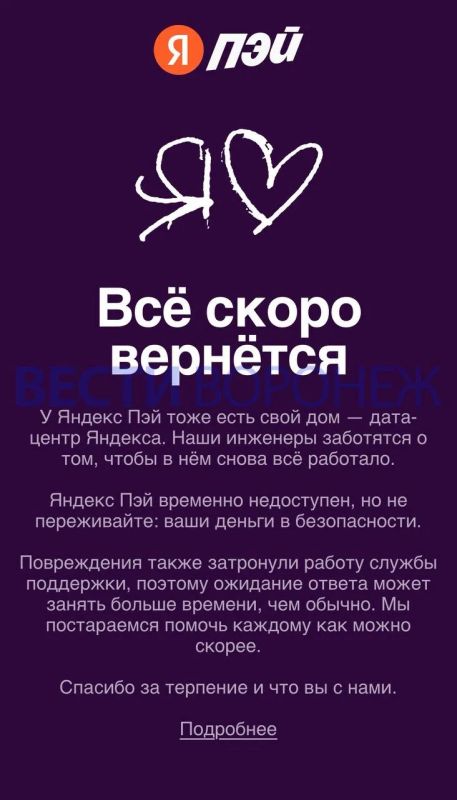 Воронежцы на сутки потеряли доступ к деньгам на «Яндекс Пэй»