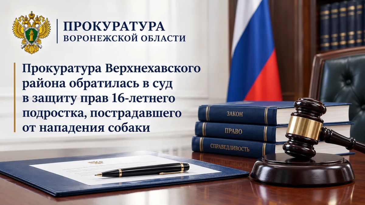 Прокуратура Верхнехавского района обратилась в суд в защиту прав 16-летнего подростка, пострадавшего от нападения собаки