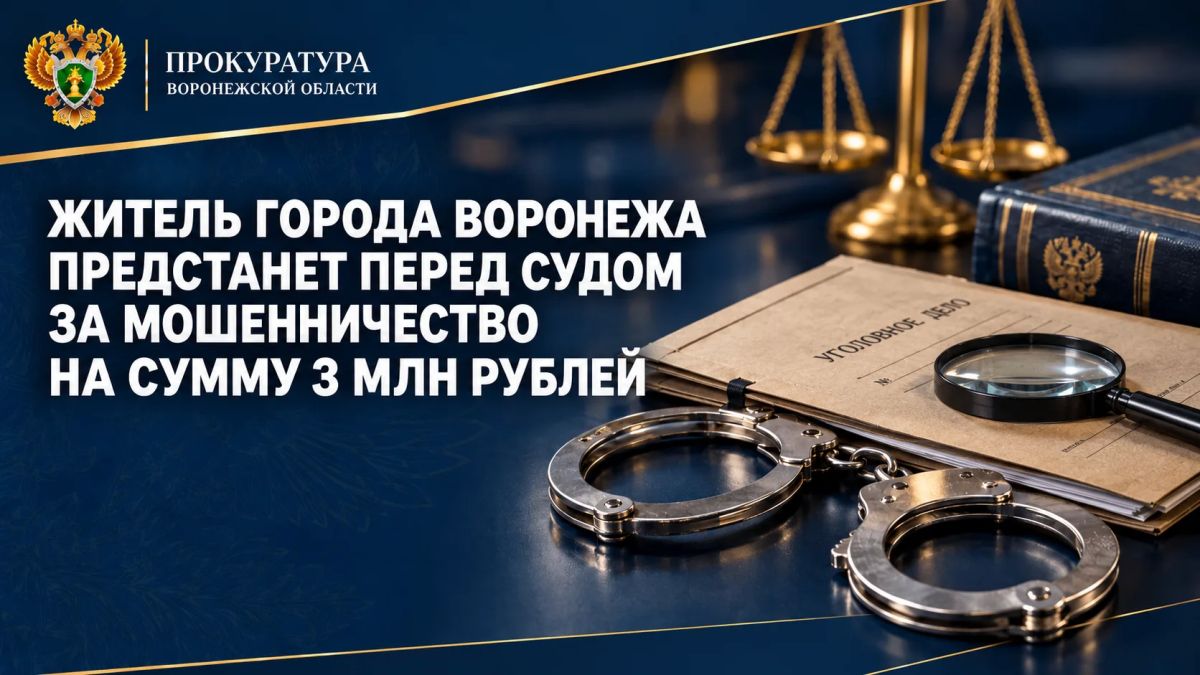 Житель города Воронежа предстанет перед судом за мошенничество на сумму 3 млн рублей