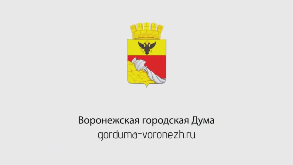 Заседание постоянной комиссии Воронежской