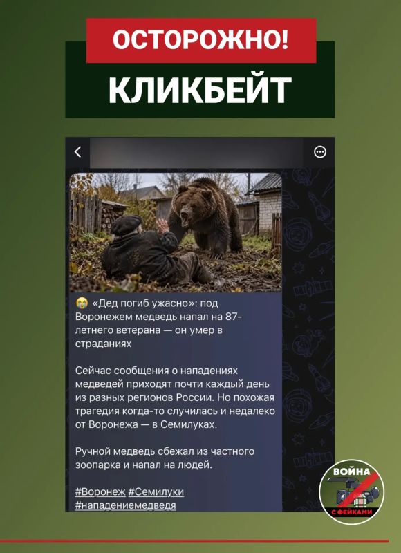 В воронежских пабликах появились посты с кликбейтными заголовками на фоне волны публикаций о нападениях медведей в разных регионах России