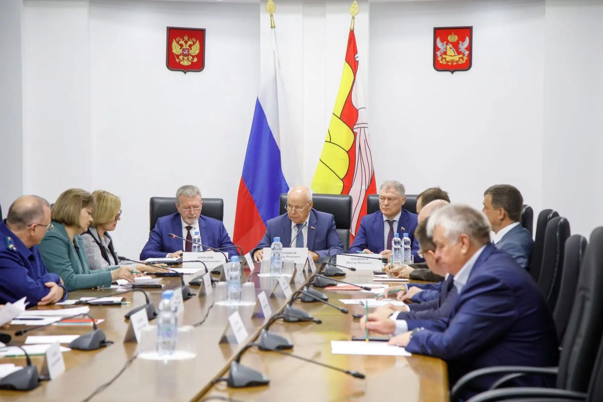 Состоялось заседание Комитета по имущественным и земельным отношениям