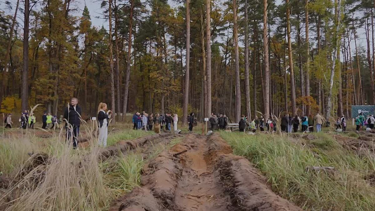 Депутаты областной Думы приняли участие в акции «Сохраним лес»