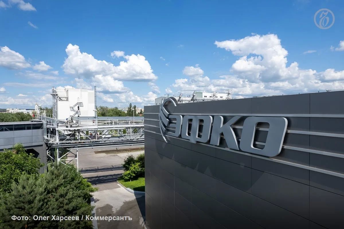 Завод ГК «Эфко» (ключевые активы — в Белгородской области) включили в перечень особо значимых инвестпроектов Воронежской области