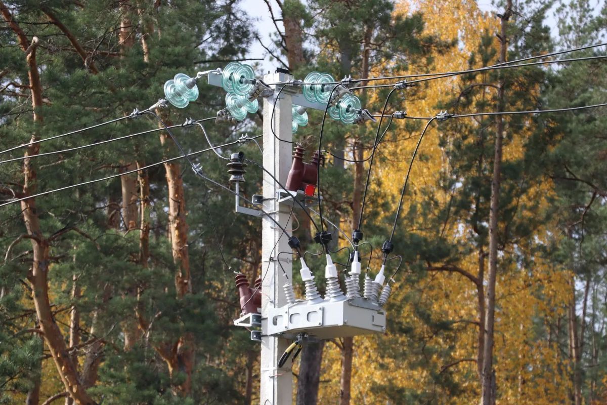 22 тысячи жителей Воронежской области обеспечат более надежным электроснабжением