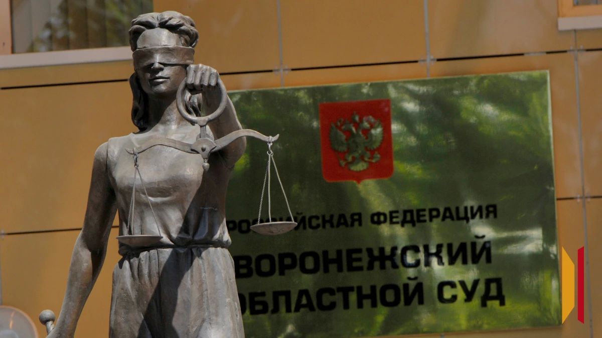 В Воронеже дети сбросили с 10 этажа дома на автомобиль мешок картошки