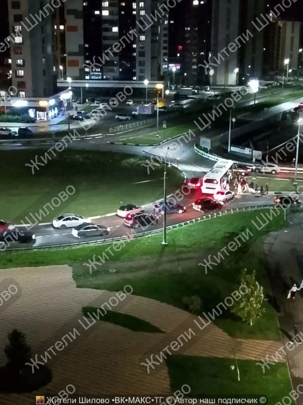 В микрорайоне Шилово водитель Peugeot сбил женщину, гулявшую с собакой