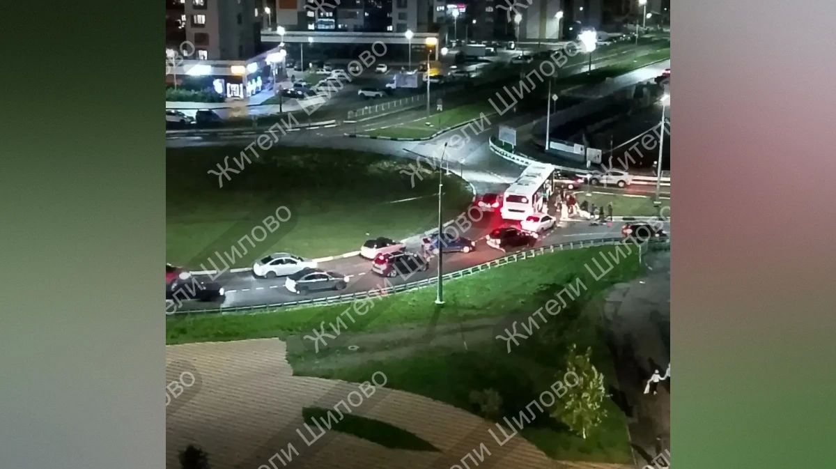 В воронежском микрорайоне Шилово водитель Peugeot сбил женщину, гулявшую с собакой