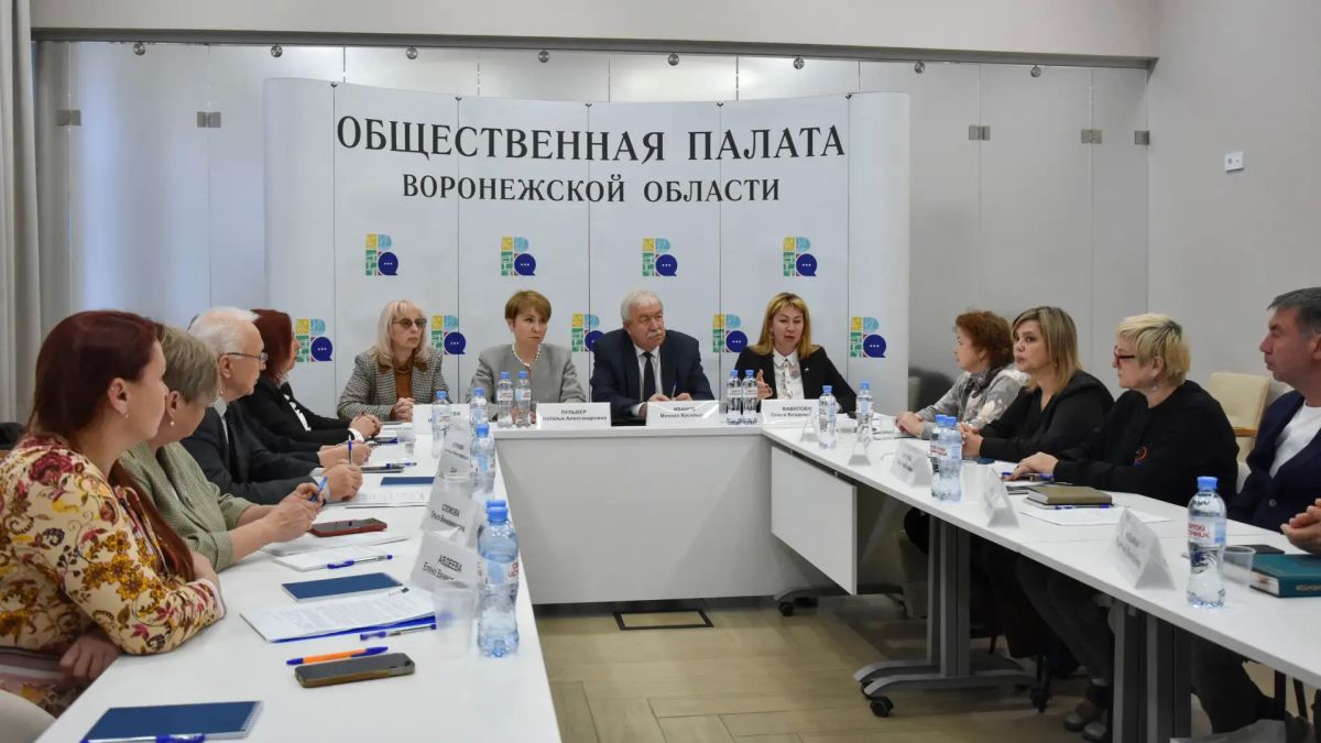 В Общественной палате Воронежской области прошло заседание комиссии по здравоохранению с участием некоммерческих организаций, которые защищают интересы пациентов