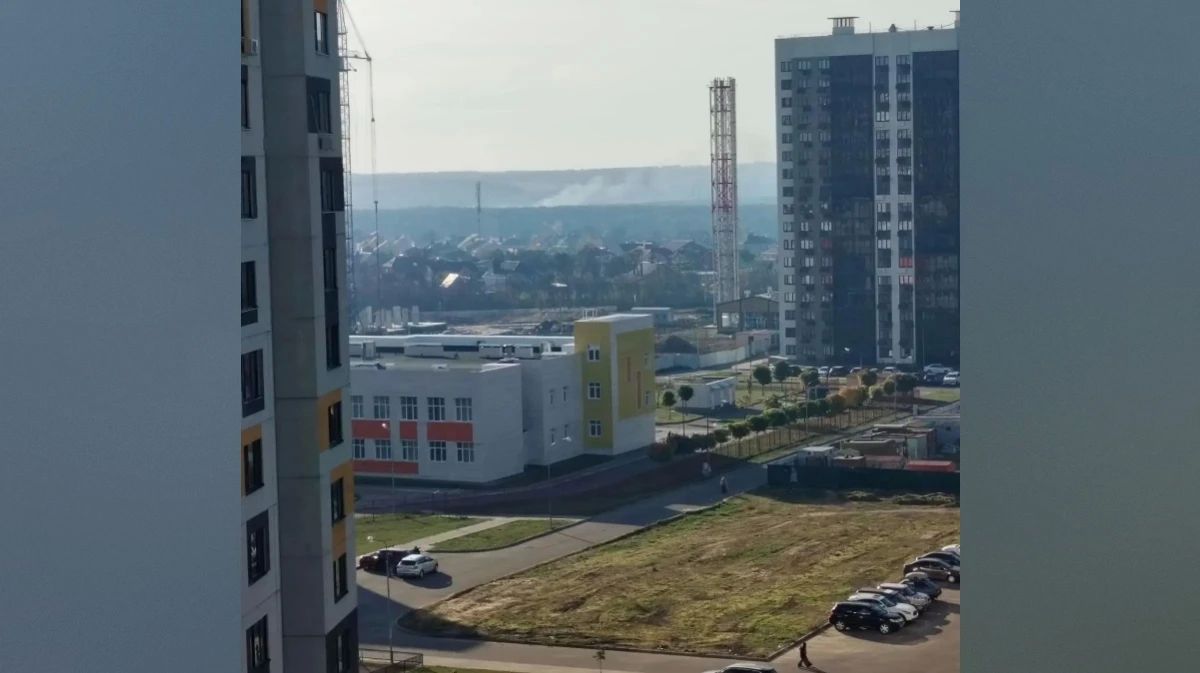 В Воронеже жители Шилово сообщили о пожаре в лесополосе