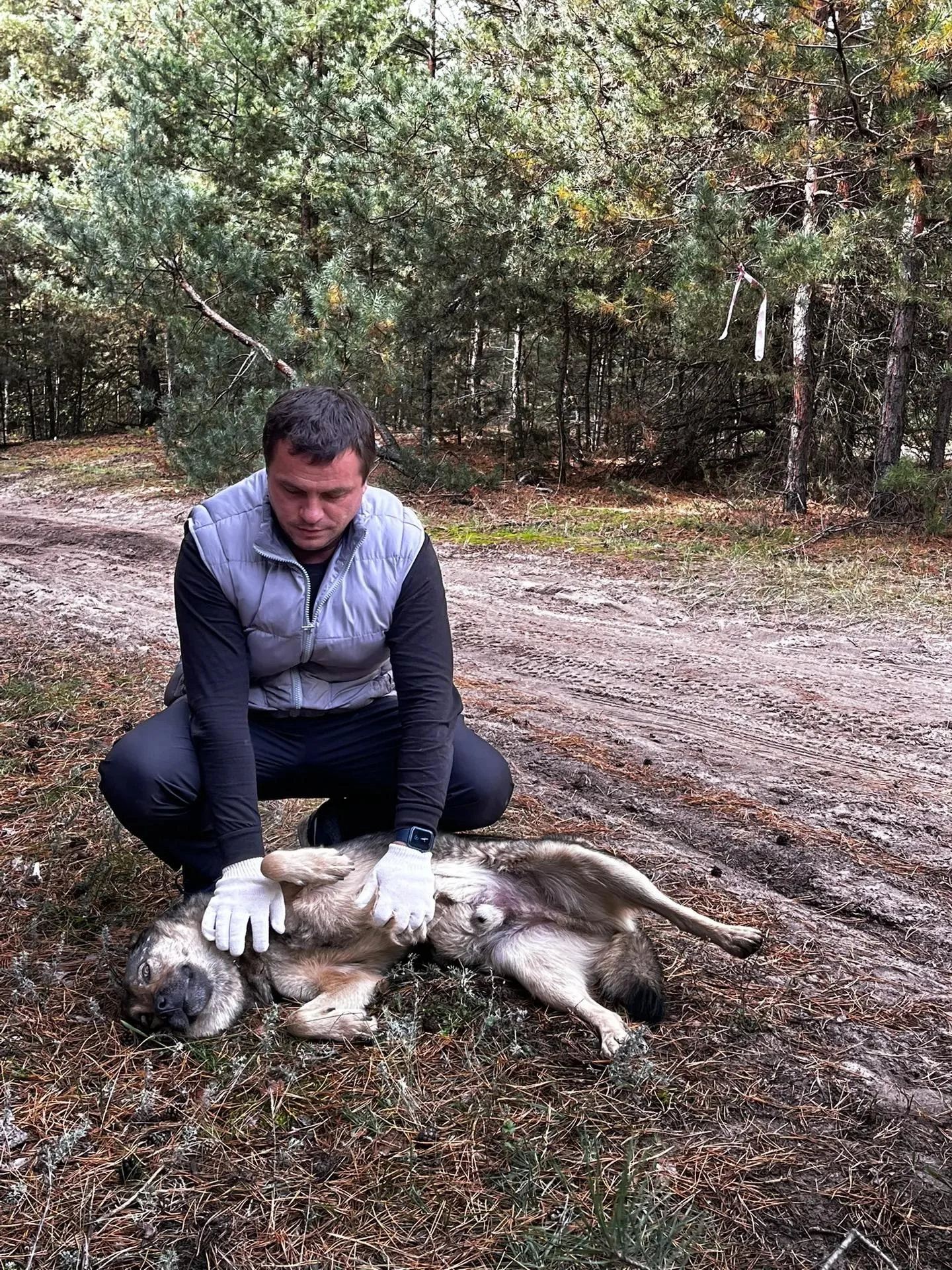 День заботы и добрых дел в приюте на Балашовской