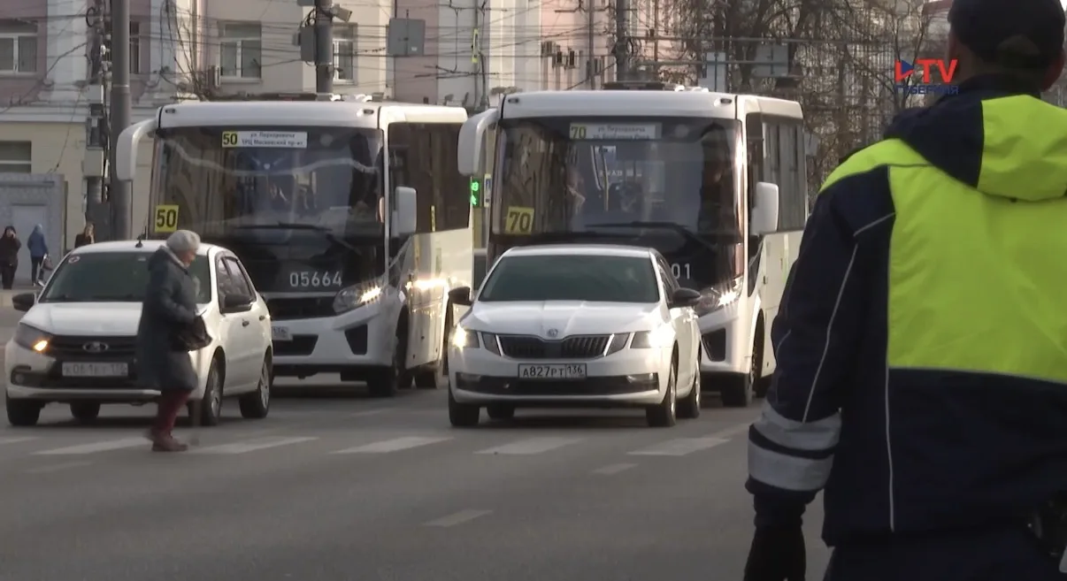 Более 500 пешеходов и 1,5 тысячи водителей оштрафованы в Воронеже